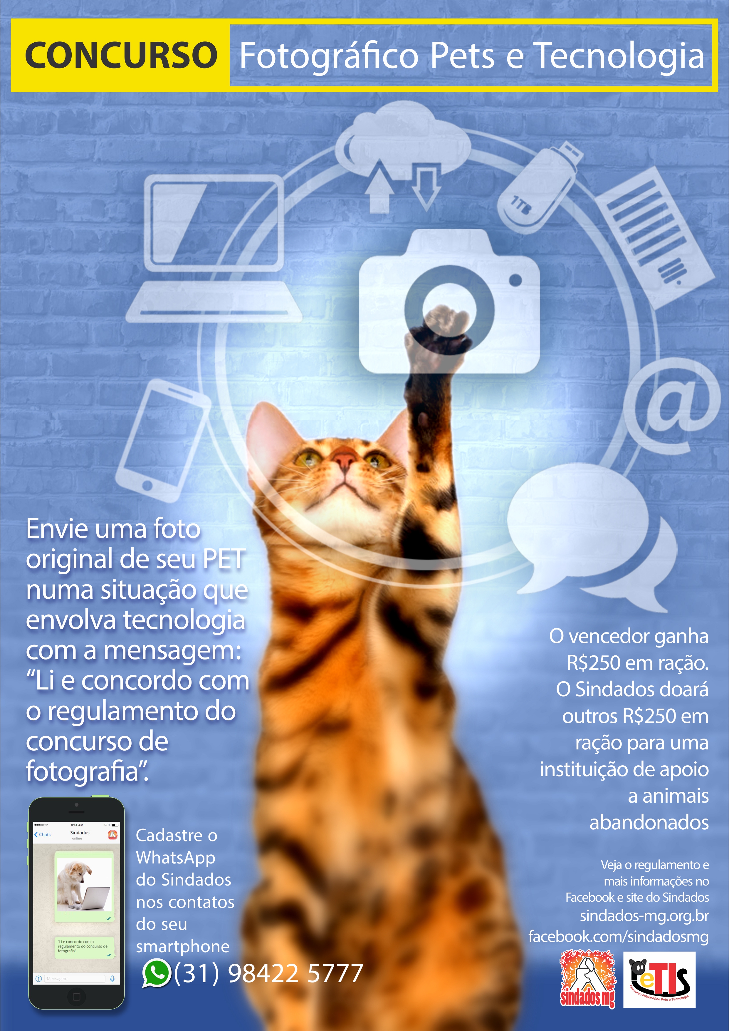 2017-11-Sindados-Cartaz PeTIs Final 2.jpg