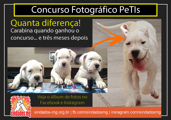 petis-entrega-ração.png