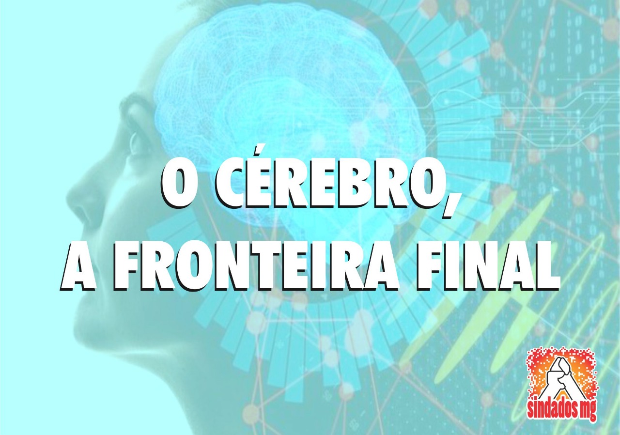 cérebro_2019-08-14.jpeg